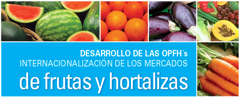 Desarrollo de las OPFH´s. Internacionalización de los mercados de frutas y hortalizas en Almería