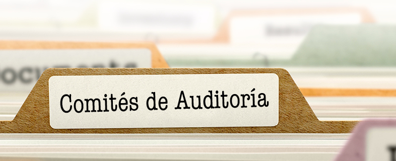 Los actuales deberes y responsabilidades de los Comités de Auditoría para las Entidades de Interés Público (EIP)