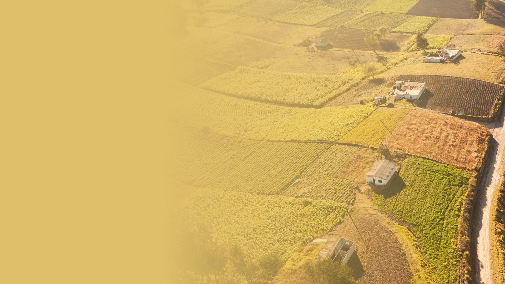 Foro agroalimentario: Oportunidades del sector